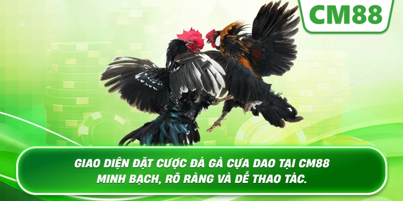 Giao diện đặt cược Đá Gà Cựa Dao tại Cm88 minh bạch, rõ ràng và dễ thao tác.